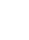 Coding Bear